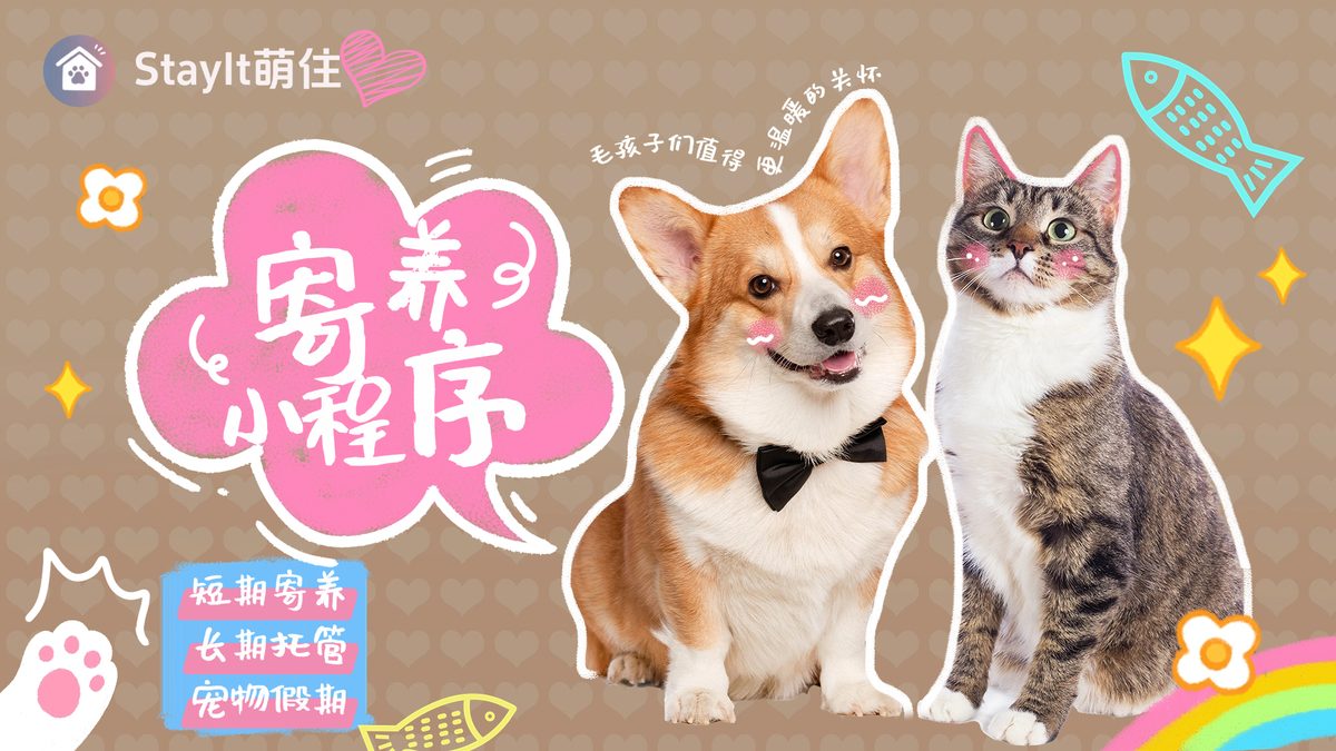 宠物寄养小程序 · 萌住